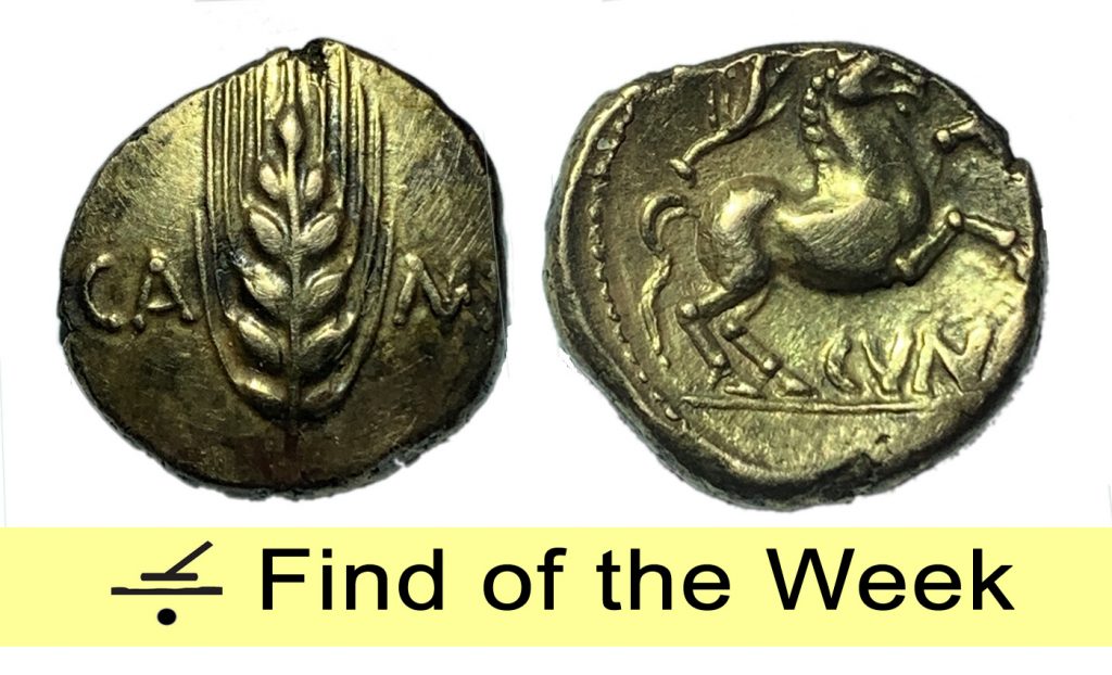 Gold Stater - coin of the week