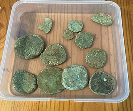 Twelve Roman coins