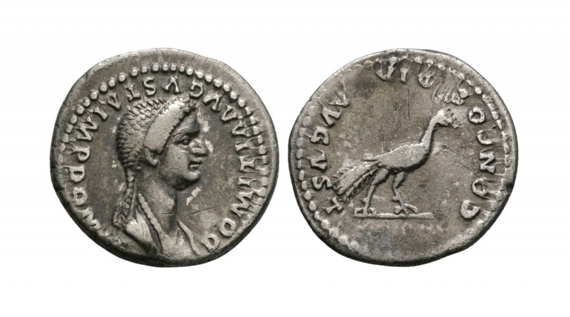 Denarius of Domitia