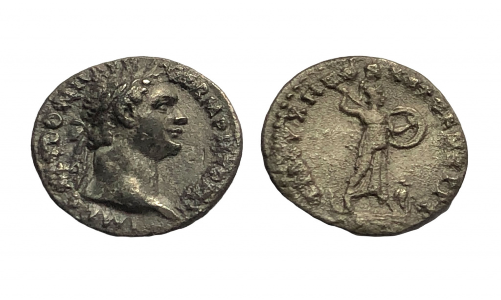 denarius of domitian