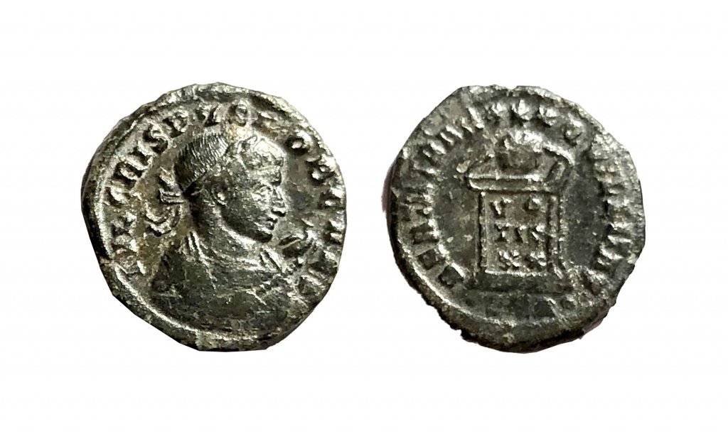 centenionalis of crispus