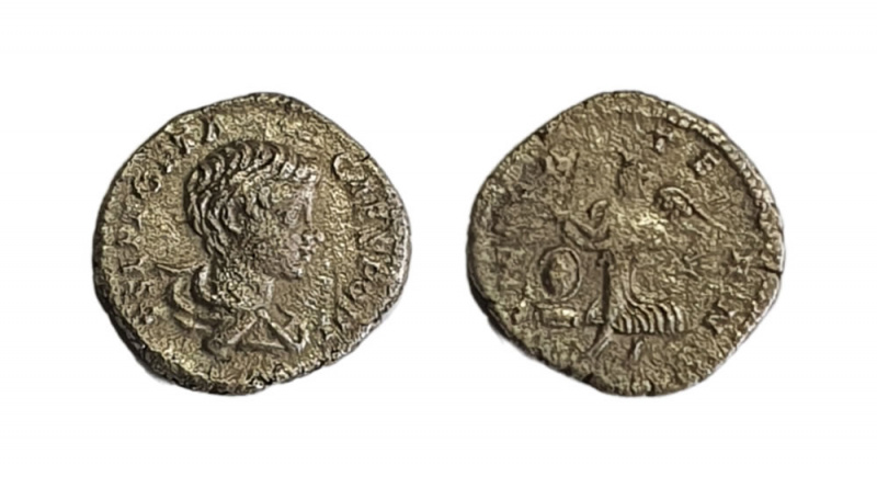 denarius is a coin of Septimius Geta