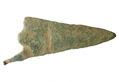 Penard arrowhead