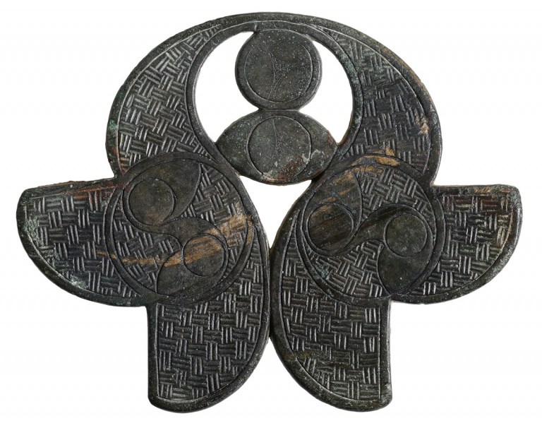 The Sutton Scotney Iron Age Brooch