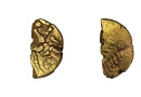 Ancient British gold stater of the Dobunni